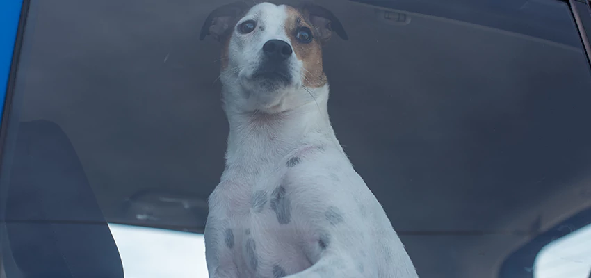 Car Lockout Solutions in Mira Loma, California